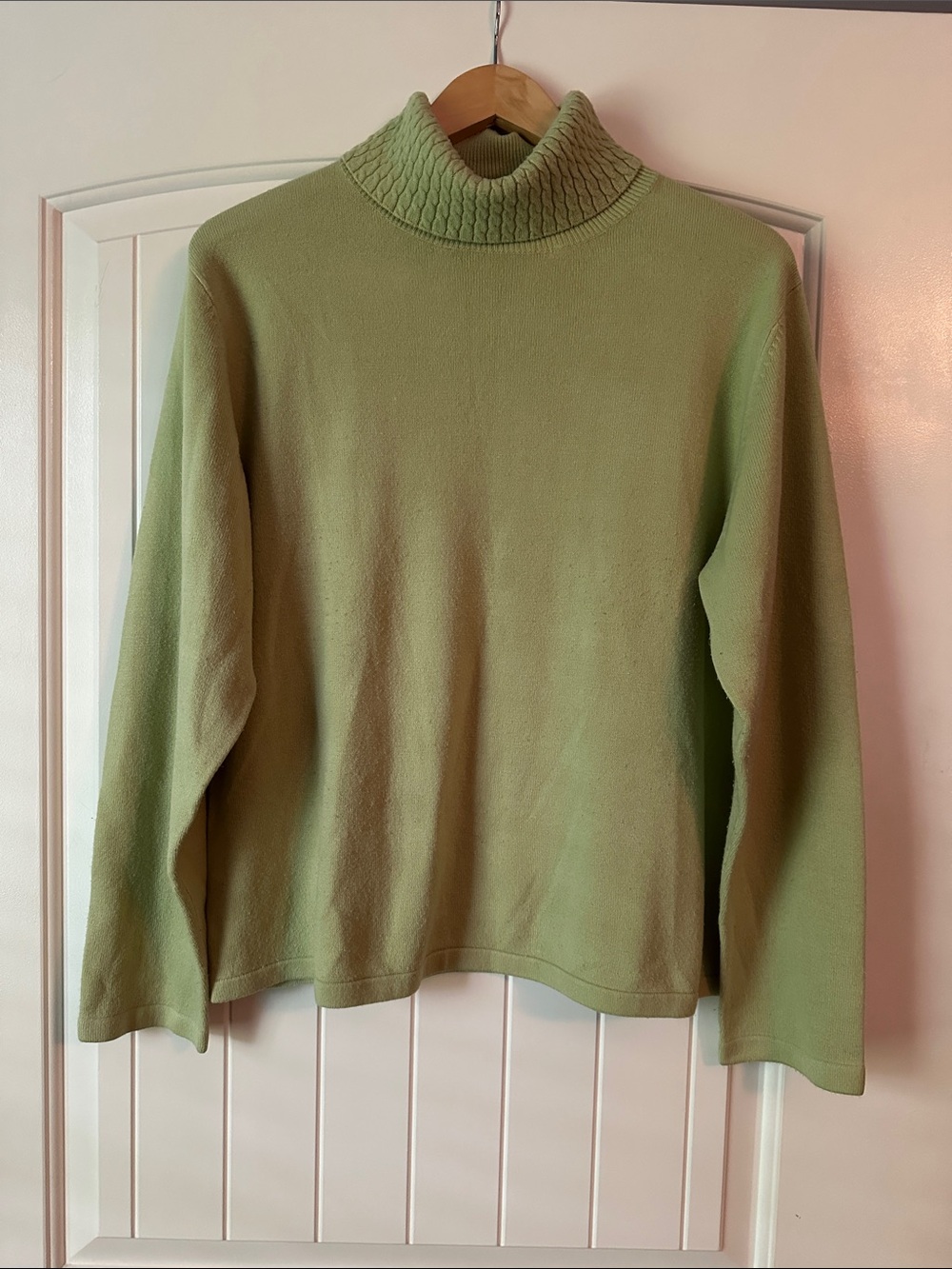 Carolyn Taylor Light Green Turtleneck Sweater